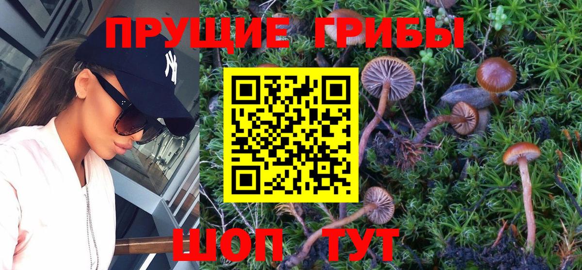 Псилоцибиновые грибы GOLDEN TEACHER Богородск