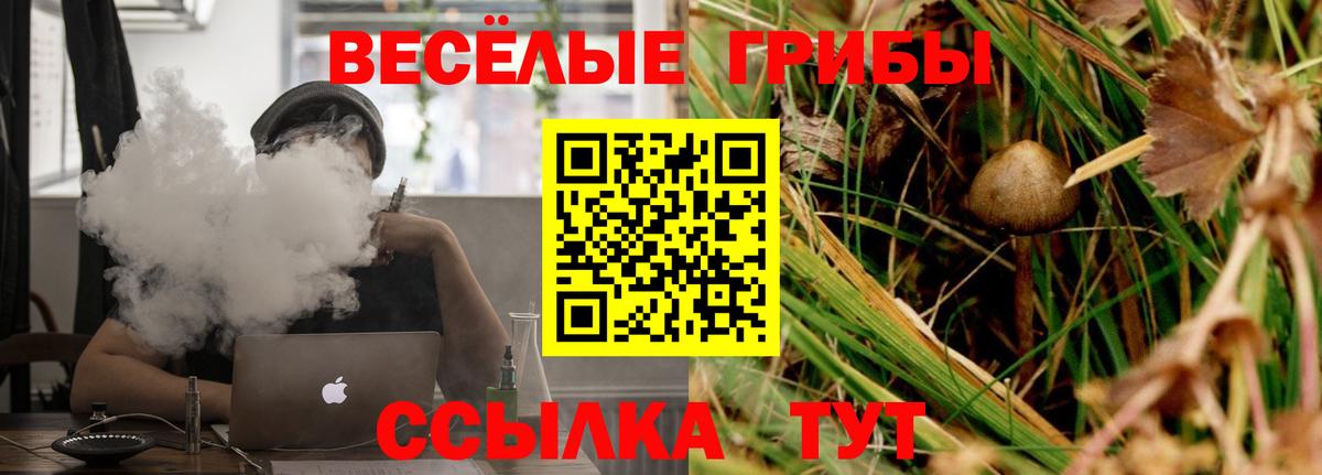 Псилоцибиновые грибы мицелий  Галлюциногенные грибы MAGIC MUSHROOMS  продажа наркотиков  Вход с VPN  Богородск 
